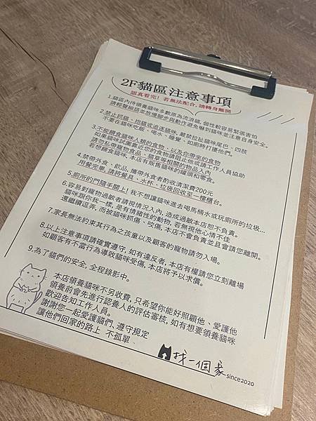【貓咖】高雄找一個家！義大利麵、燉飯、輕食、甜點