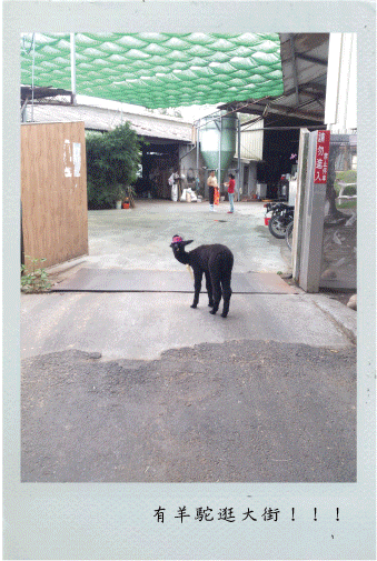 6.30-13.gif