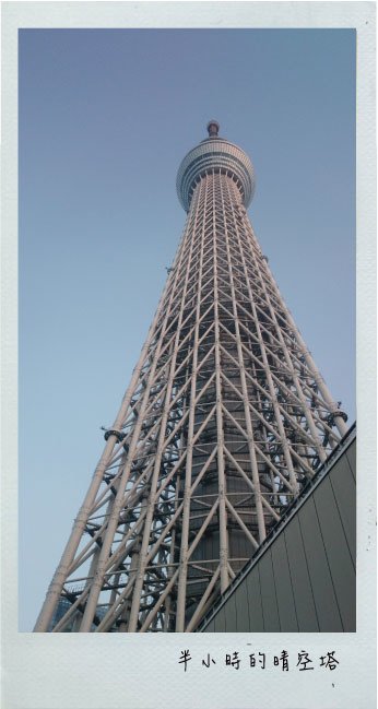 4.8-12.jpg