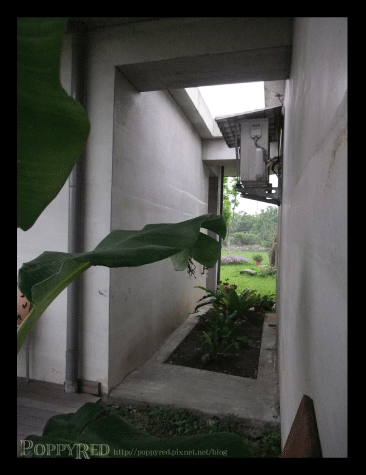 3.25-10.gif