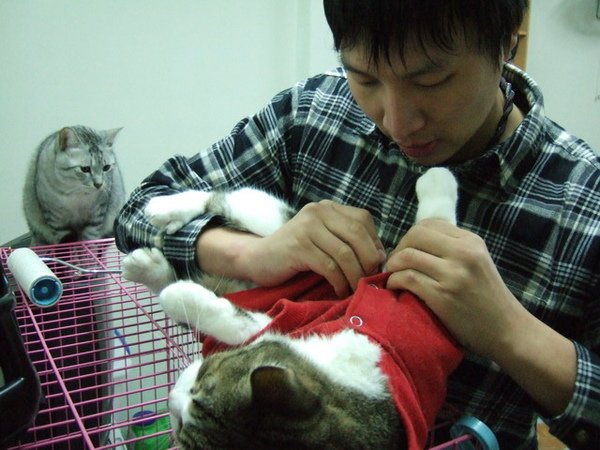2009.1.1 比比討厭的聖衣脫掉給肉丸穿~自以為在旁邊看好戲