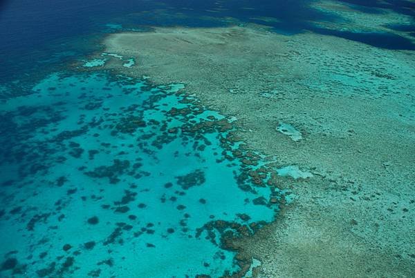 Great Barrier Reef 7