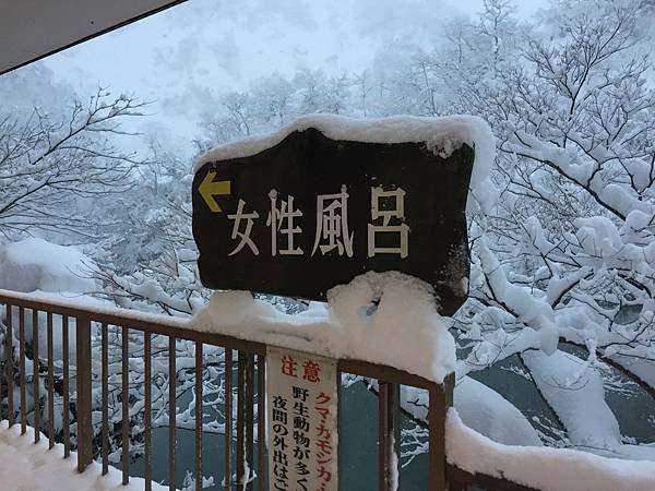 秘境一軒宿，日本百名湯－大牧溫泉＆富邦不便險理賠經驗
