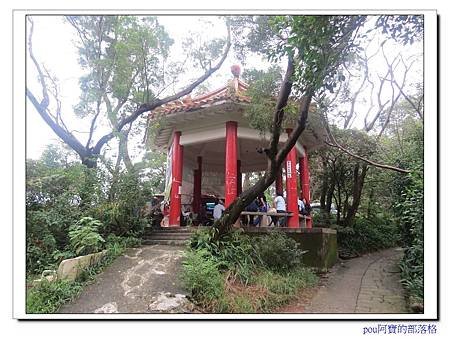 IMG_2537.jpg