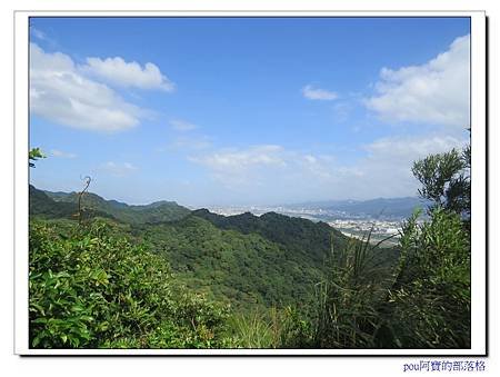 IMG_2636.jpg