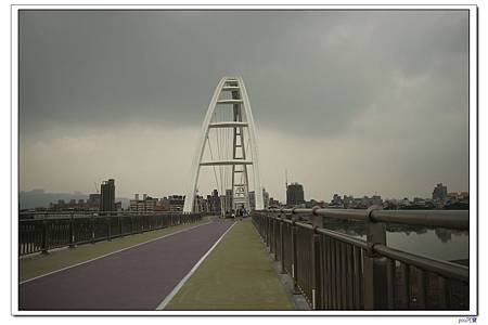 IMG_8772.jpg