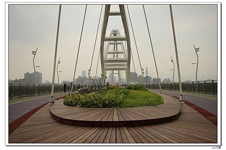 IMG_8776.jpg