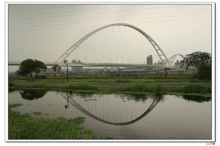 IMG_8779.jpg