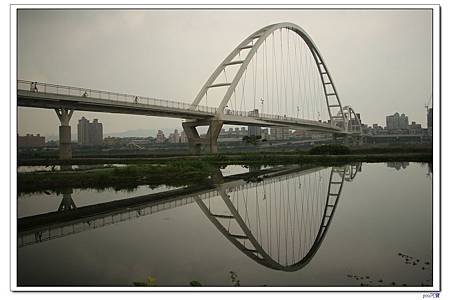 IMG_8784.jpg