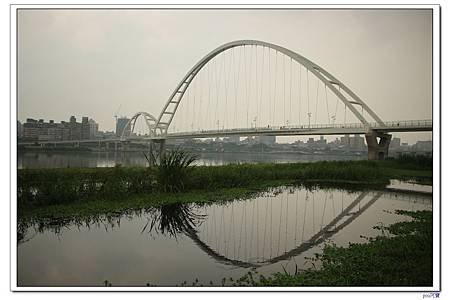 IMG_8790.jpg