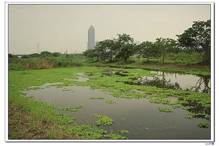 IMG_8799.jpg