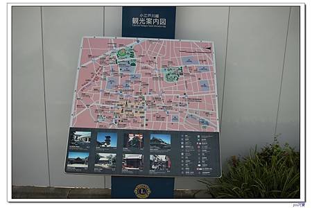 IMG_9385.jpg