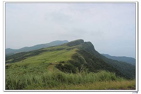 IMG_2215.jpg