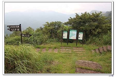 IMG_2226.jpg