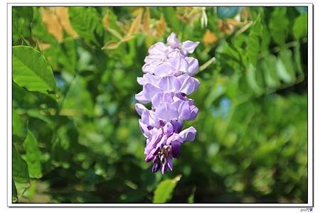 IMG_3187.jpg