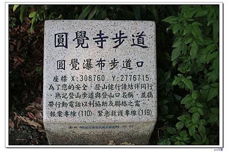 IMG_3195.jpg