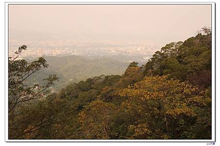 IMG_8601.jpg