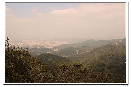 IMG_8651.jpg