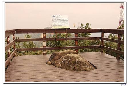 IMG_8658.jpg