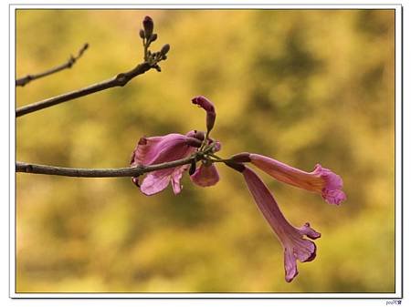 IMG_8703.jpg