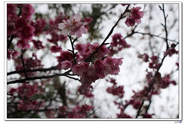 IMG_9860.jpg