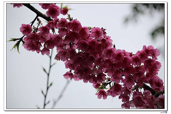 IMG_9867.jpg