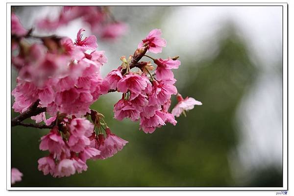 IMG_9900.jpg