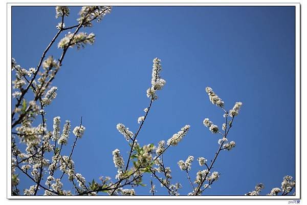 IMG_1275.jpg