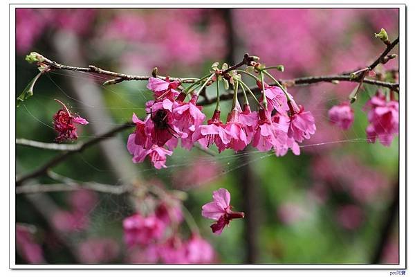 IMG_1562.jpg