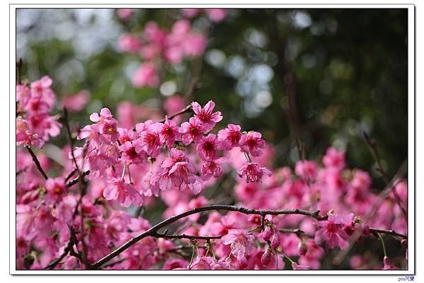 IMG_1570.jpg
