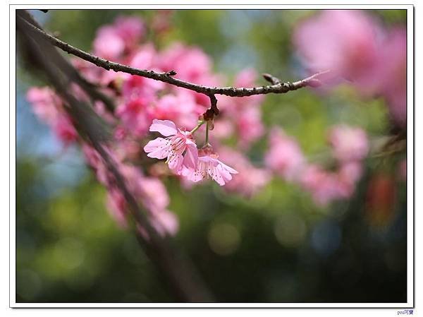 IMG_1661.jpg