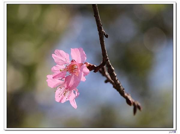 IMG_1667.jpg