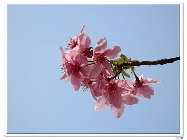 IMG_1710.jpg