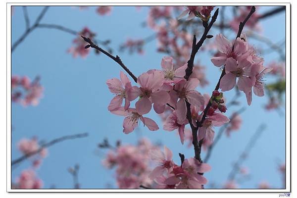 IMG_1720.jpg
