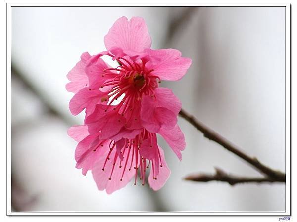 IMG_1908.jpg