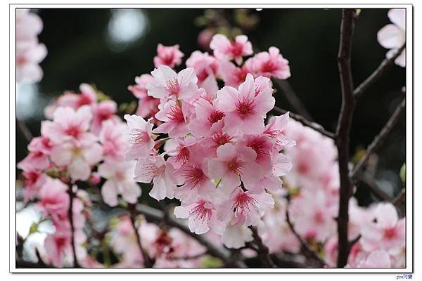 IMG_2496.jpg