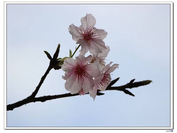 IMG_2540.jpg