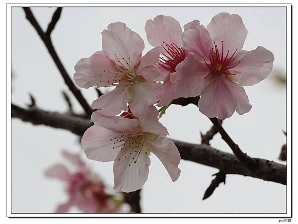 IMG_2562.jpg
