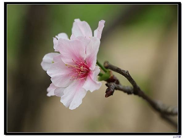 IMG_7828.jpg