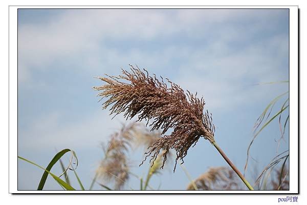 IMG_9235.jpg
