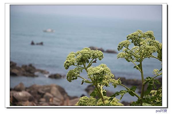 IMG_9298.jpg