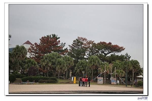 IMG_9976.jpg