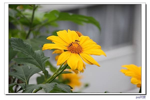 IMG_9980.jpg