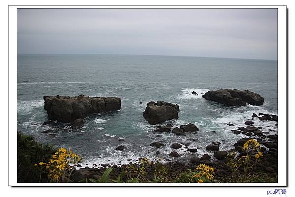 IMG_0008.jpg