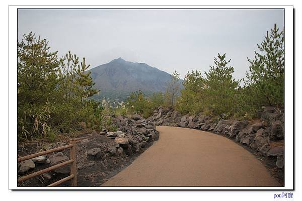 IMG_0140.jpg