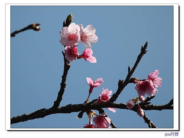 IMG_4159.jpg