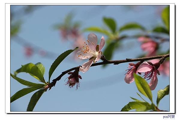 IMG_6789.jpg