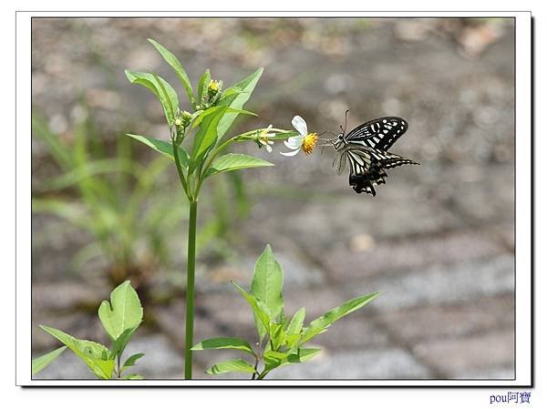 IMG_6925.jpg
