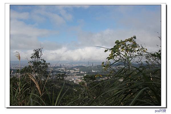 IMG_0709.jpg