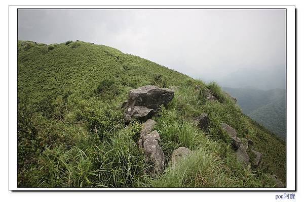IMG_7863.jpg